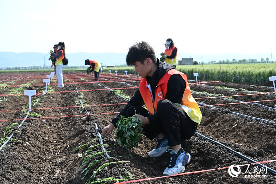 人民网报道1.png